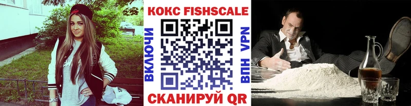 omg вход  Сертолово  Кокаин Эквадор 