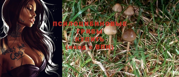 амф Абинск