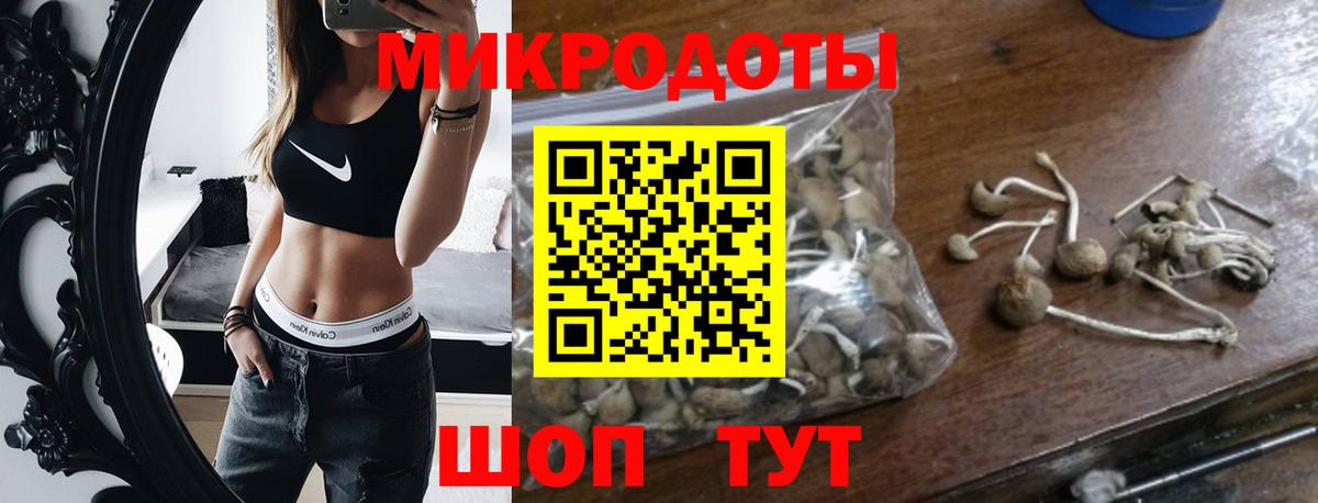 где купить   Галлюциногенные грибы Psilocybe  Псилоцибиновые грибы Cubensis  Вход с VPN  Сертолово 